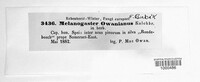 Image Associated With the Occurence